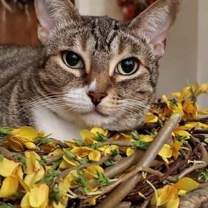 Meet your Posher, Jenny